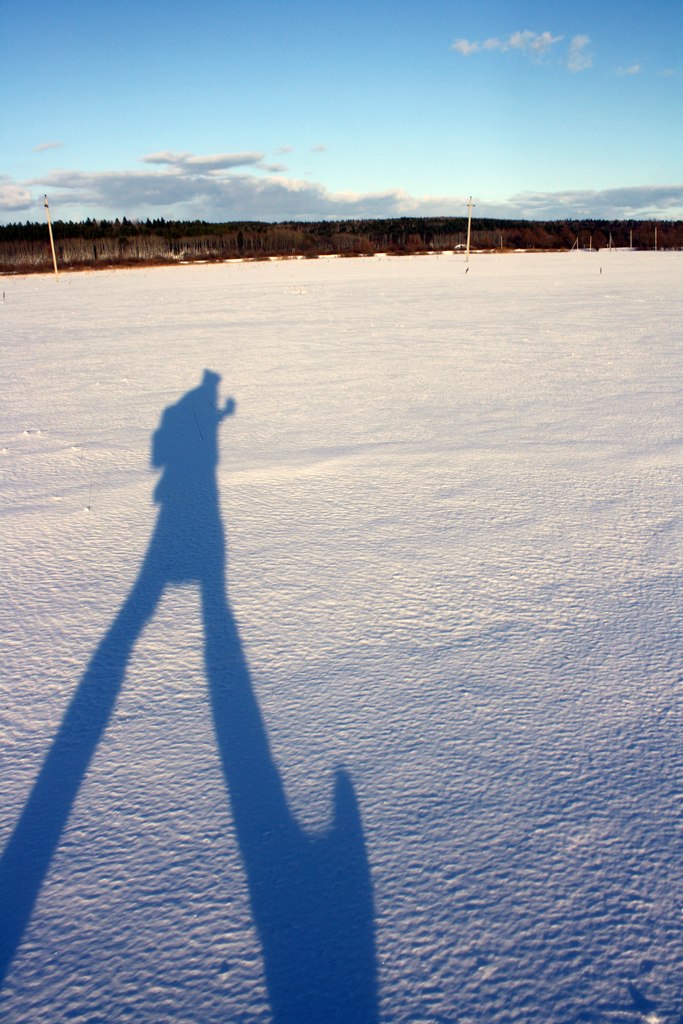 Даша Торхова | 