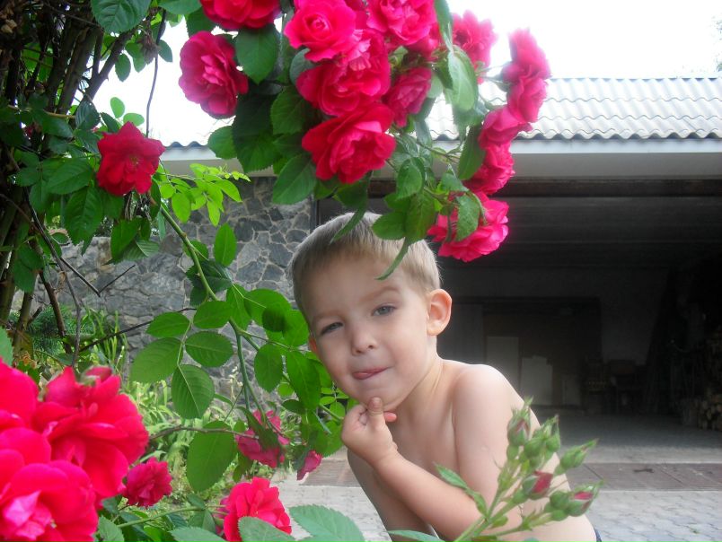 №9, Zlata Моя №9, Zlata Моя