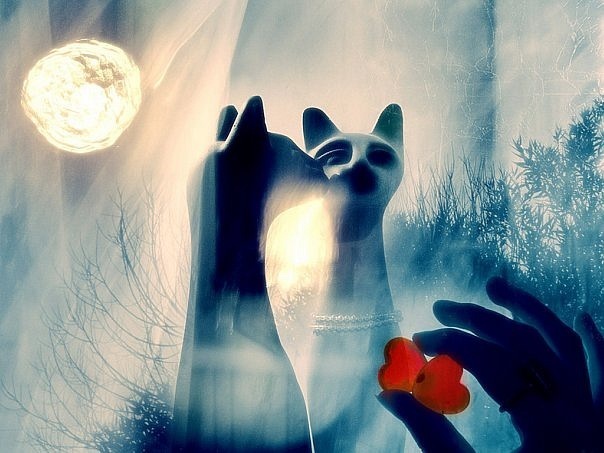 №62, Иринка Акулич, Минск №62, Иринка Акулич, Минск