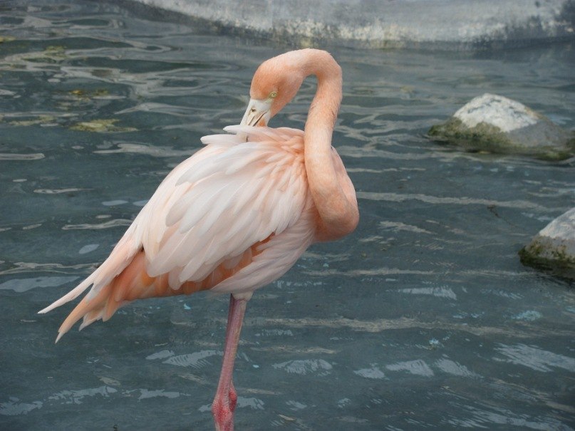 Даша Грачева | Нижний Новгород