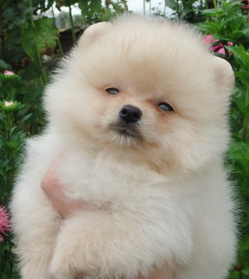 №29, Ольга Полякова, Нижний Новгород, Россия №29, Ольга Полякова, Нижний Новгород, Россия