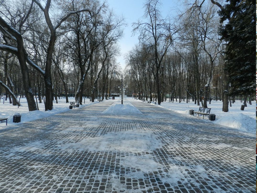 Ника Маслова | Ростов-на-Дону
