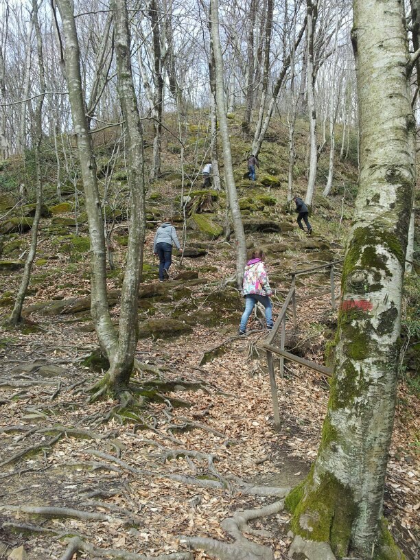 Серёга Колдов | Санкт-Петербург