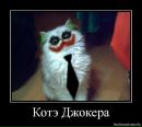 Фотография Дмитрий Копкин