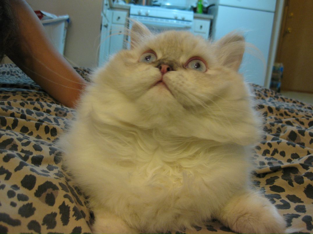 Елена Русак | Минск