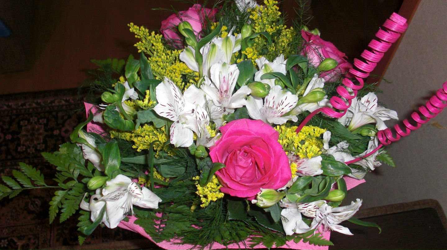 Елена Щербакова | Мирный