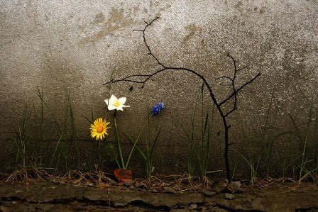 Катя Вовченко | 