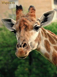 №143, Александр Кулигин, 36 лет, Александров №143, Александр Кулигин, 36 лет, Александров