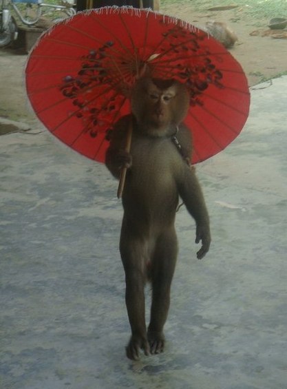 Анюта Давыдова *СПЕЦ ПО НЕДВИЖИМОСТИ, СТРАХОВКАМ И ПУТЕВКАМ* | Санкт-Петербург