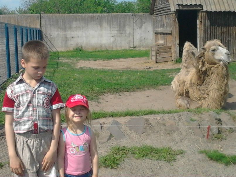 Елена Терехова | Чернигов