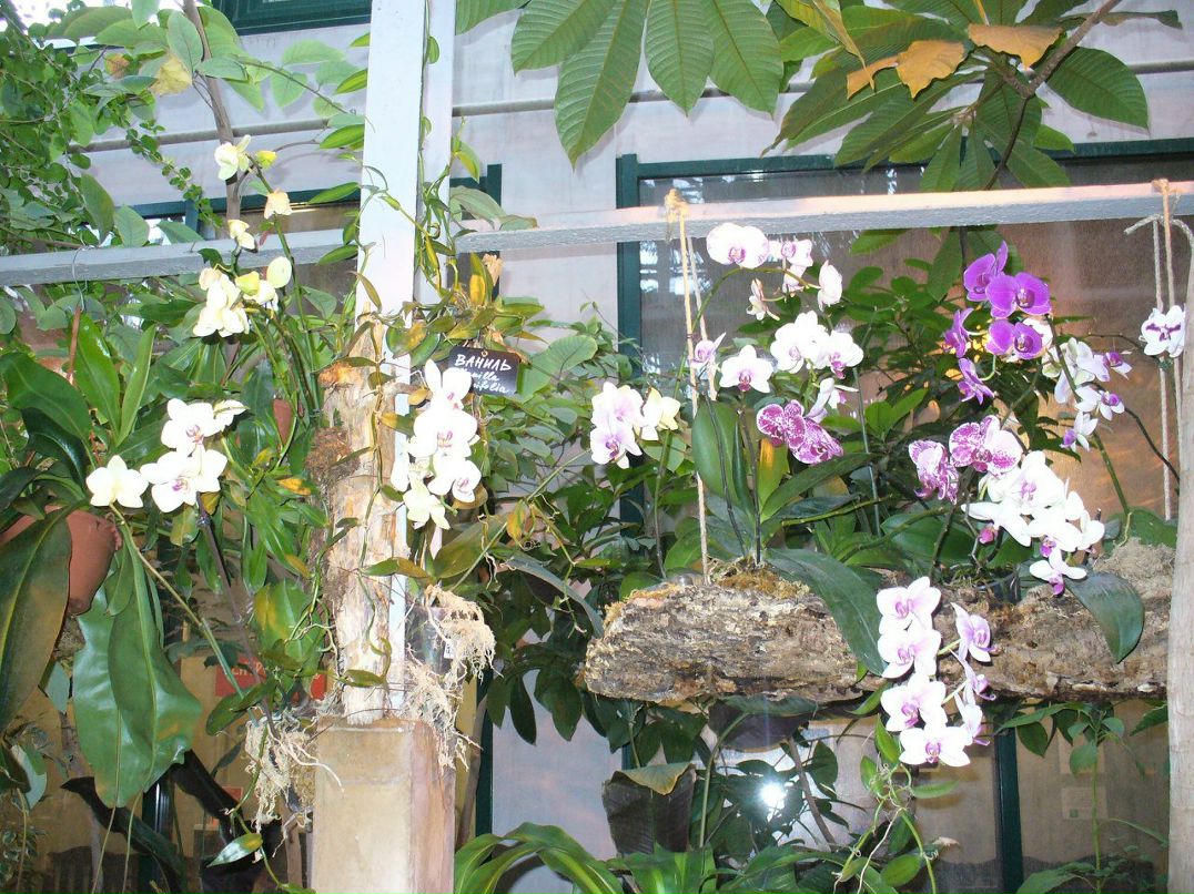 Татьяна Голубева | Москва