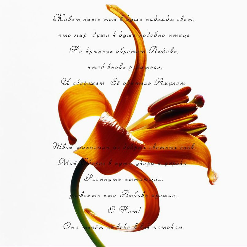 Игорь Энвальд | 