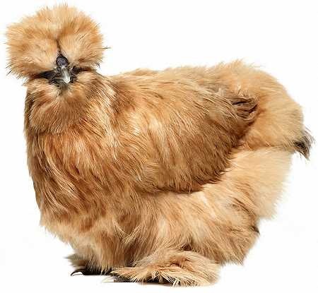 №99, Заира Темирова, Москва, Россия №99, Заира Темирова, Москва, Россия