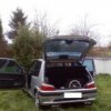 Аватар: Asd Asd
