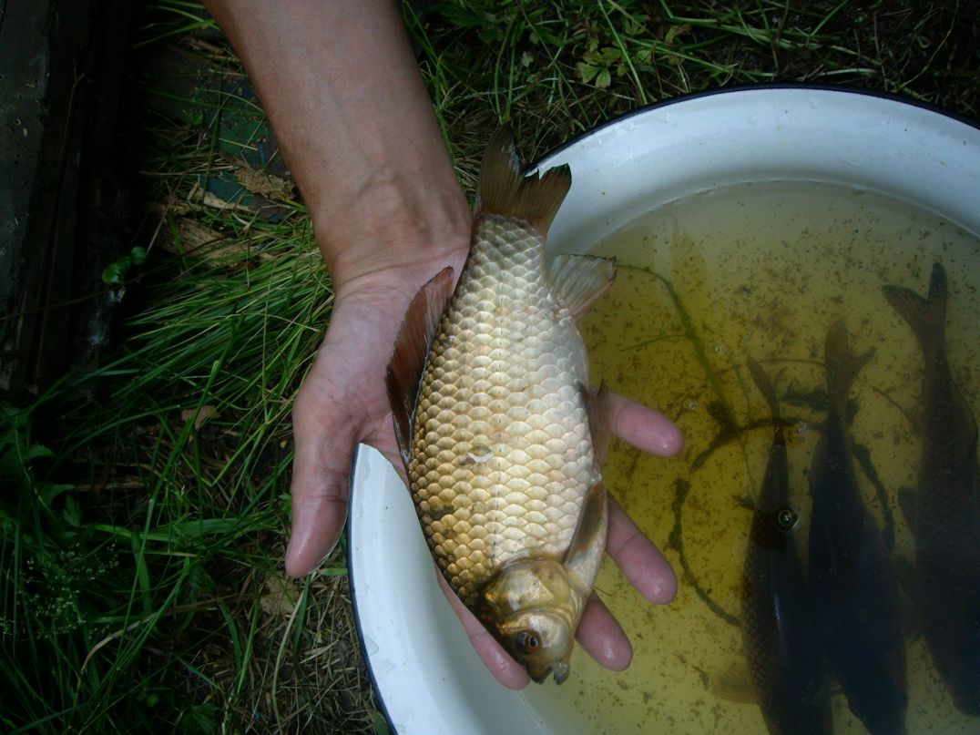Александр Антонов | Москва