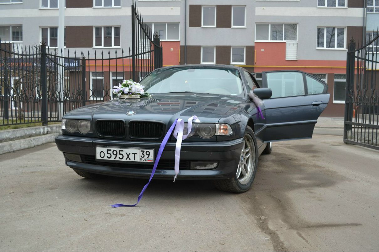 Мизеркевич Андреевич Илья | Светлогорск