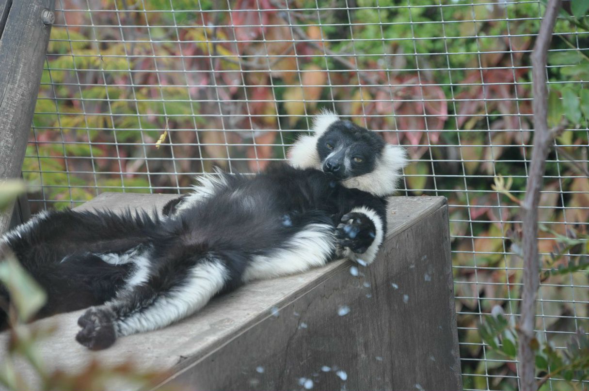 Евгения Адо-Андреева | Санкт-Петербург