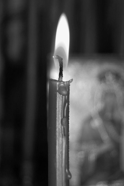 Женя Шулин | 