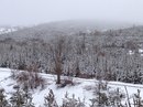 №12 Musa Abidov 01.04.1989: профиль, фото, статус - ВКонтакте