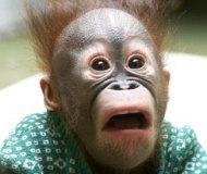 Андрей Буланкин | Казань