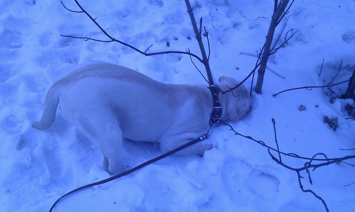 Александр Савельев ShurikS | Кольцово