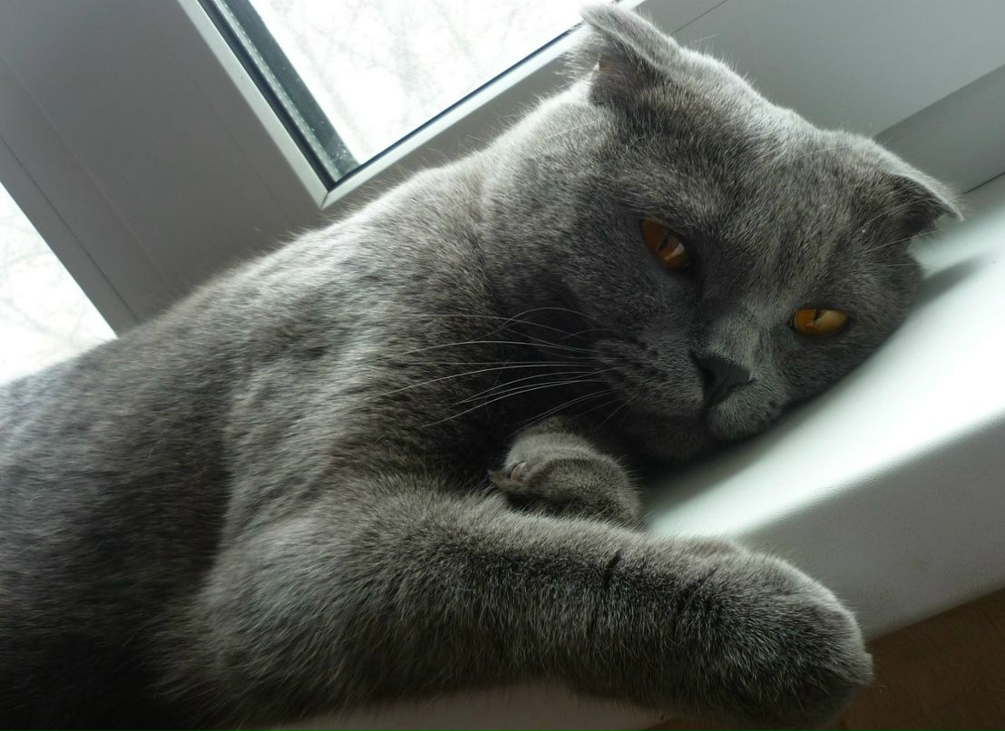 Виктория Журавлева | Новосибирск