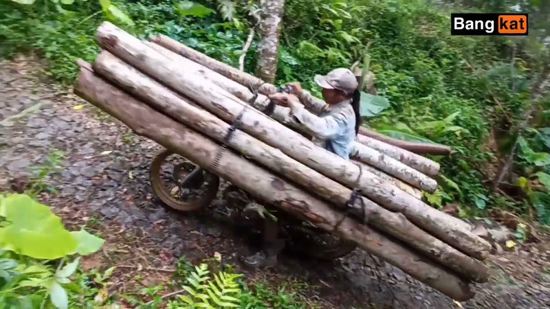 OJEK KAYU EKSTRIM BERSUARA TINGGI, , RENDY