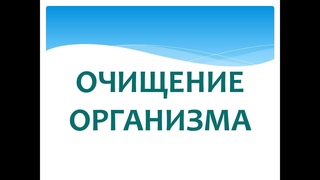 программа “ОЧИЩЕНИЕ ОРГАНИЗМА“