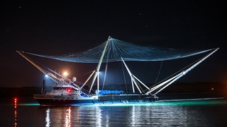 4K: SpaceX fairing catchers GO Ms Chief/Tree return to Port Canaveral under the cover of night