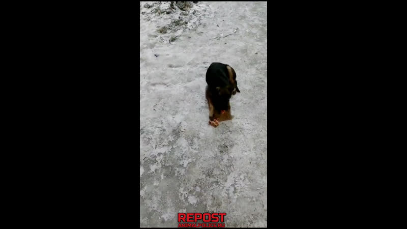 Видео от Tanya