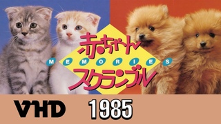 Baby Scramble Memories (1985 HQ Vintage Baby Cat Dog Animal VHD BGV Video)