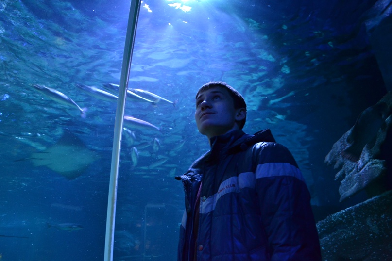 Павел Орехов | Воронеж