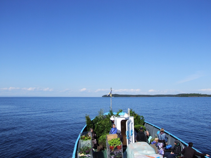 Дмитрий Будько |