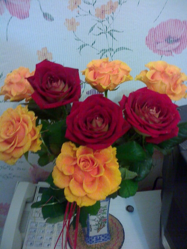 Владимир Кретов | Донецк