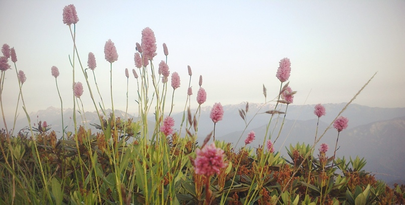 Полина Сергеевна | Сочи