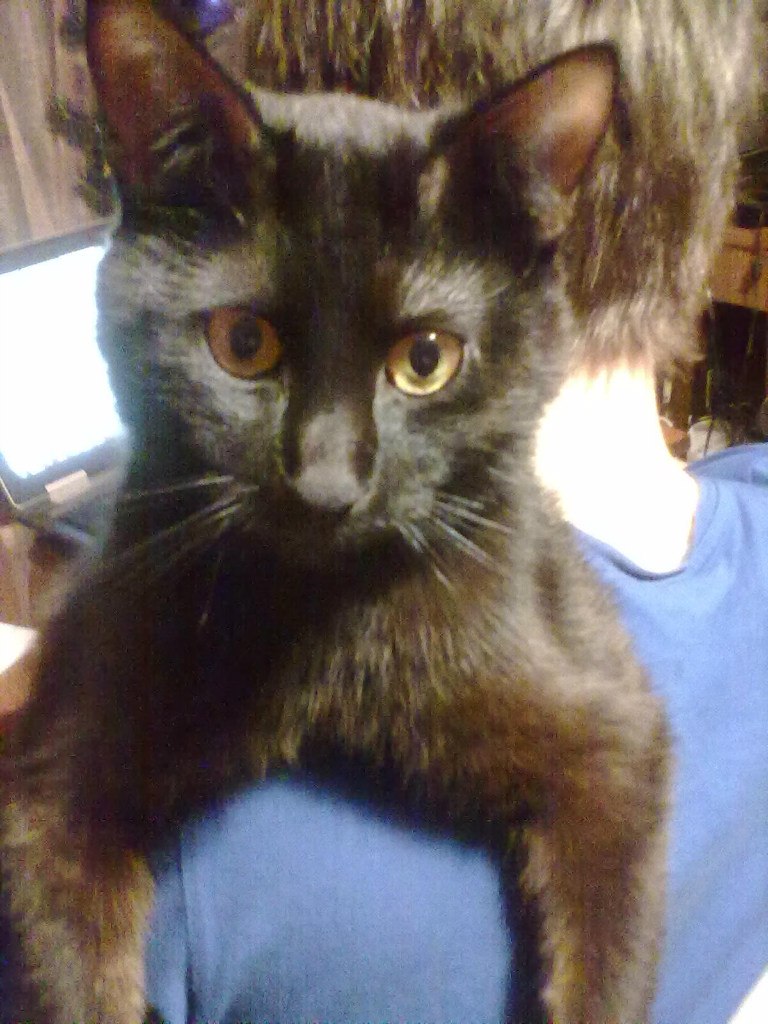 Анастасия Шевелева ***SVARLY*** | Санкт-Петербург