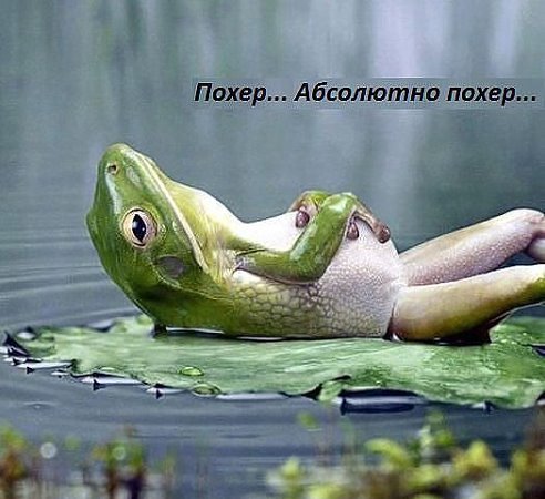 Марина Богомолова | Курск