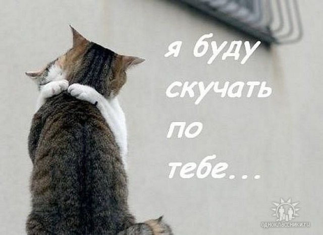 Анастасия Гордеева | Барнаул