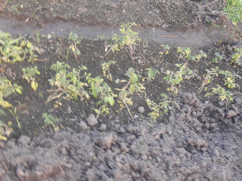 Сергей Усачев | Санкт-Петербург