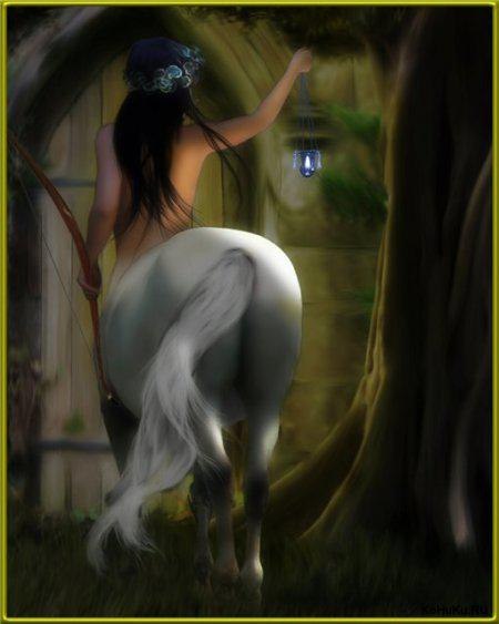 Ксения Бобкова | Гатчина