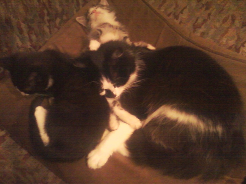 Елена Сапунова | Санкт-Петербург