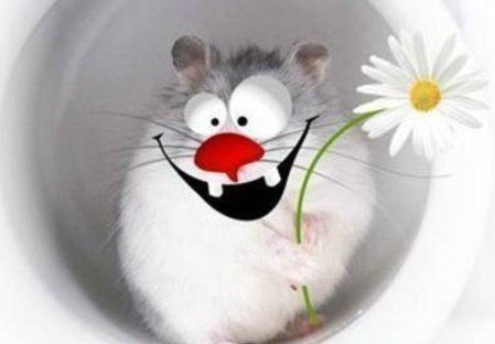 Татьяна Жилинская | Томск