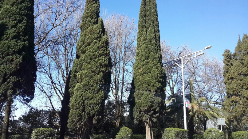 Ольга Грекова | Москва