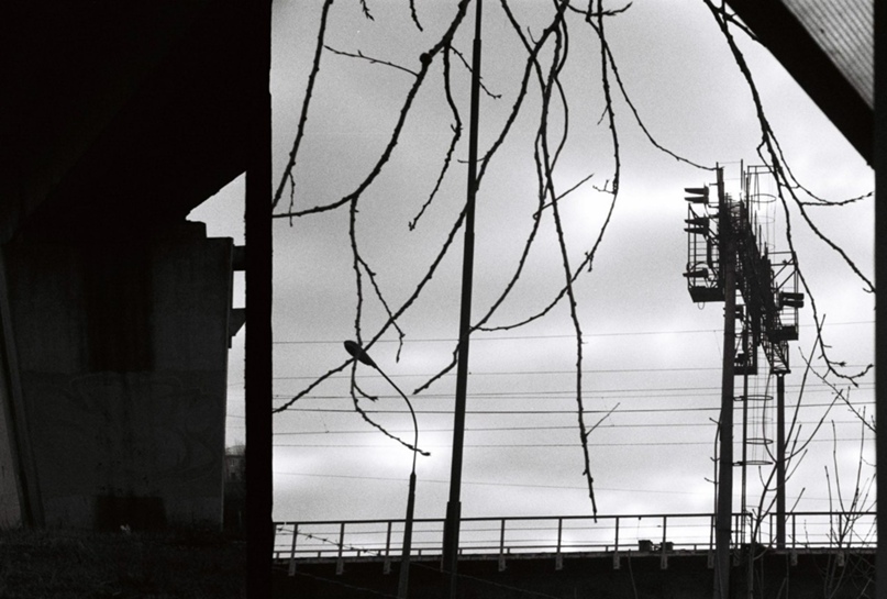 Никита Денисов Сергеевич | Санкт-Петербург