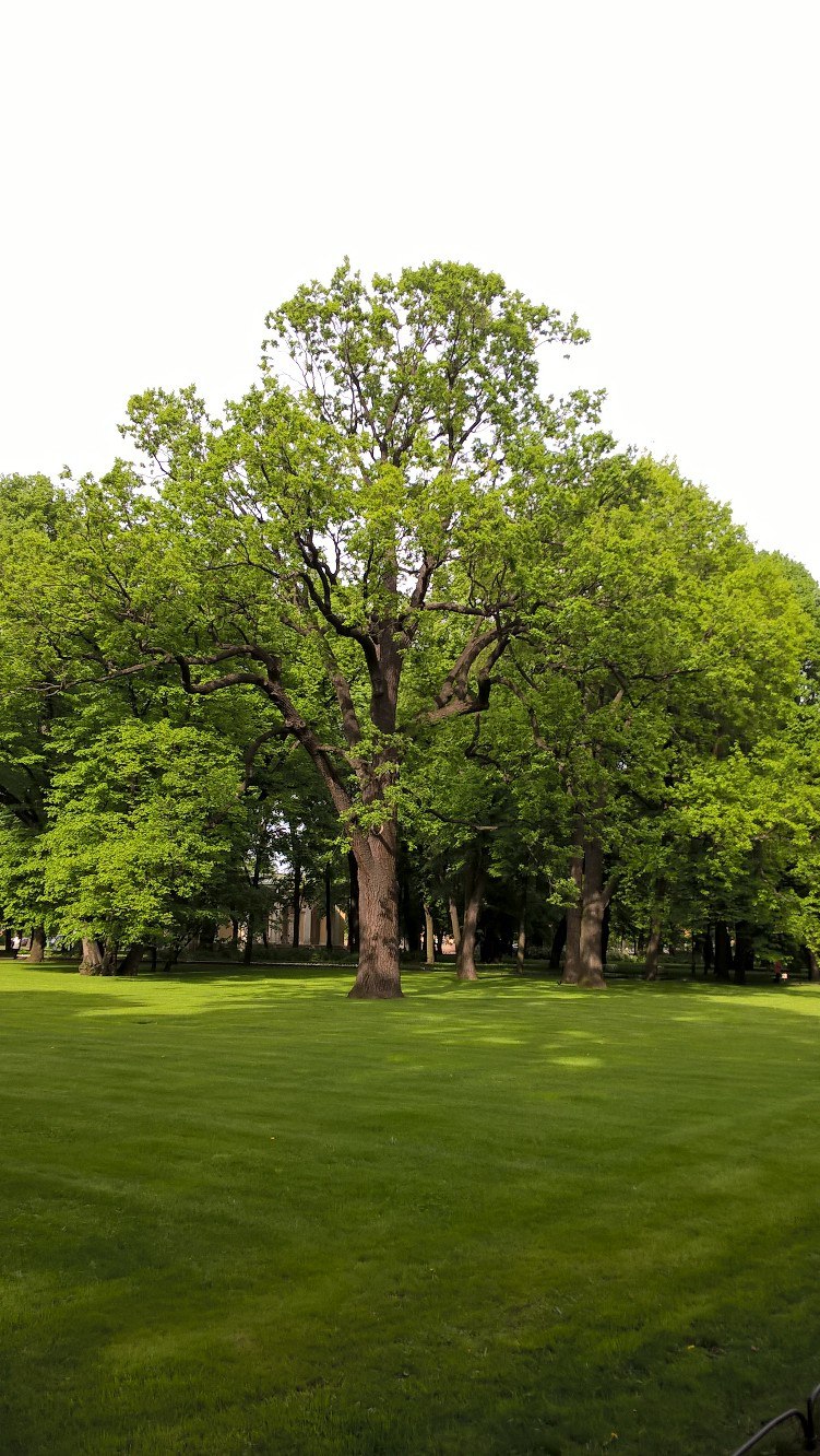 Анастасия Белозерова | Екатеринбург