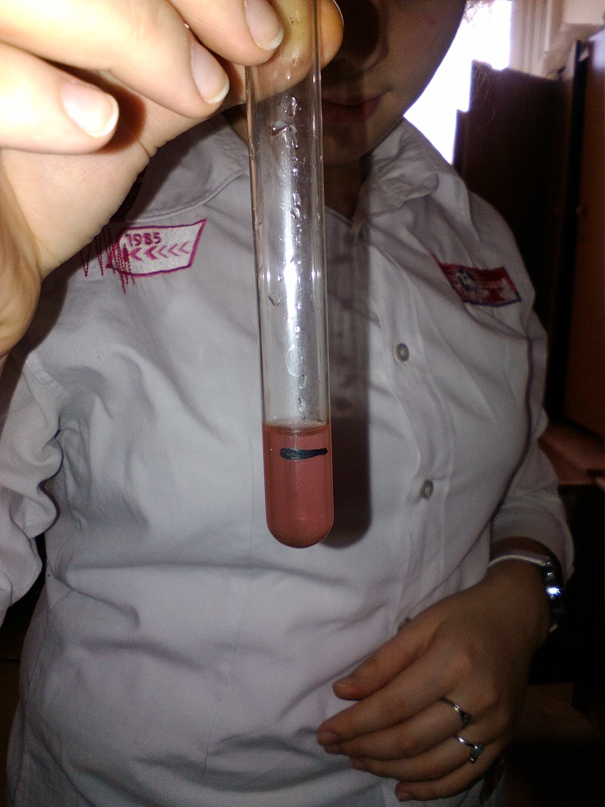 Татьяна Горшкова | Долгопрудный