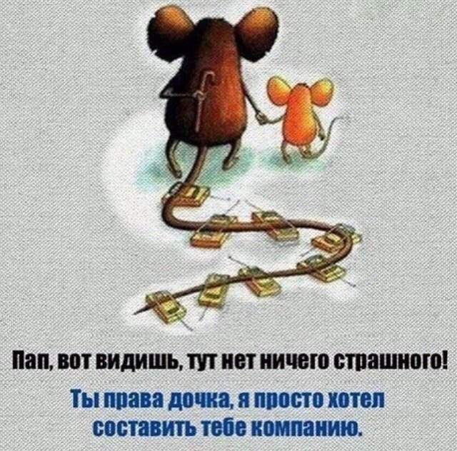 Анастасия Михеева | Йошкар-Ола