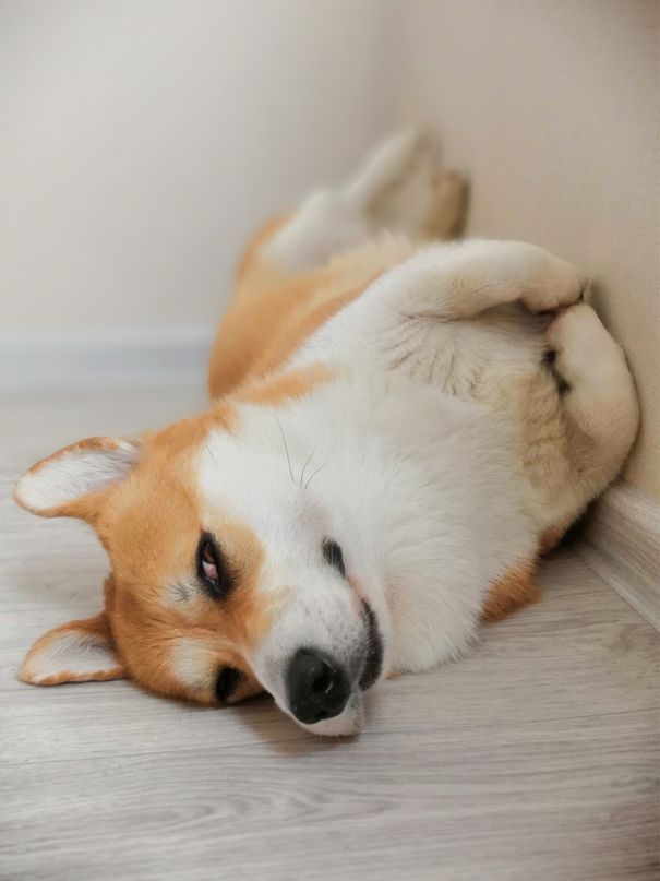 Ольга Чичасова |