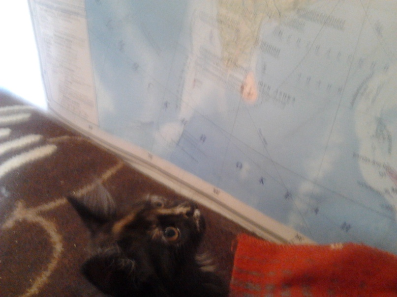 Глеб Дмитриев | Новосибирск