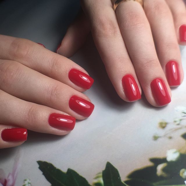 Yana Ivanova | Днепр (Днепропетровск)